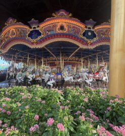 Defining Value: Choosing Disney World Rides for Your Trip