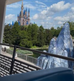 Top 3 Magic Kingdom Rides With Minimal Waits & No Height Requirement